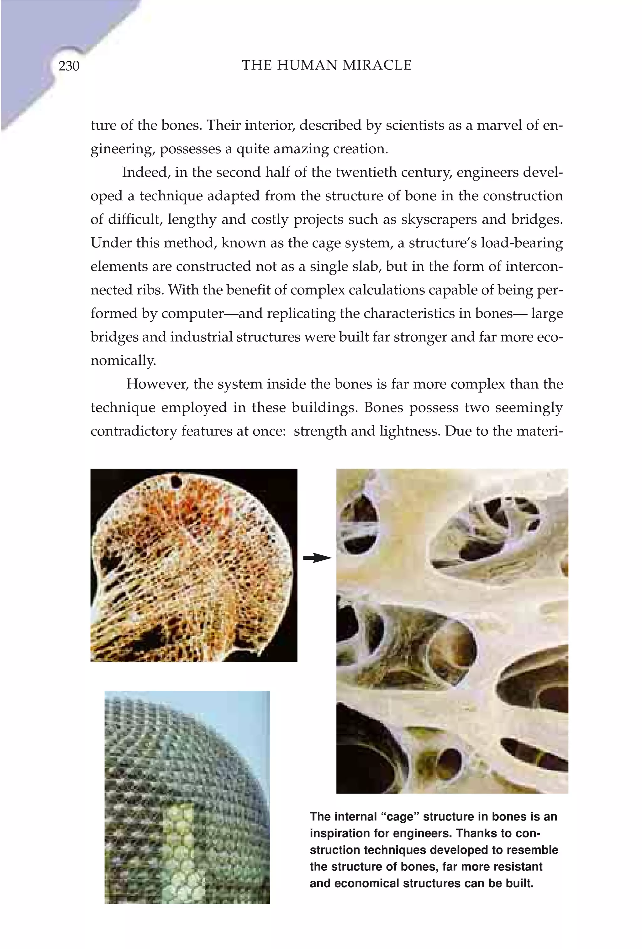 230                           THE HUMAN MIRACLE



      ture of the bones. Their interior, described by scientists as a marvel of en-
      gineering, possesses a quite amazing creation.
           Indeed, in the second half of the twentieth century, engineers devel-
      oped a technique adapted from the structure of bone in the construction
      of difficult, lengthy and costly projects such as skyscrapers and bridges.
      Under this method, known as the cage system, a structure’s load-bearing
      elements are constructed not as a single slab, but in the form of intercon-
      nected ribs. With the benefit of complex calculations capable of being per-
      formed by computer—and replicating the characteristics in bones— large
      bridges and industrial structures were built far stronger and far more eco-
      nomically.
           However, the system inside the bones is far more complex than the
      technique employed in these buildings. Bones possess two seemingly
      contradictory features at once: strength and lightness. Due to the materi-




                                         The internal “cage” structure in bones is an
                                         inspiration for engineers. Thanks to con-
                                         struction techniques developed to resemble
                                         the structure of bones, far more resistant
                                         and economical structures can be built.
 