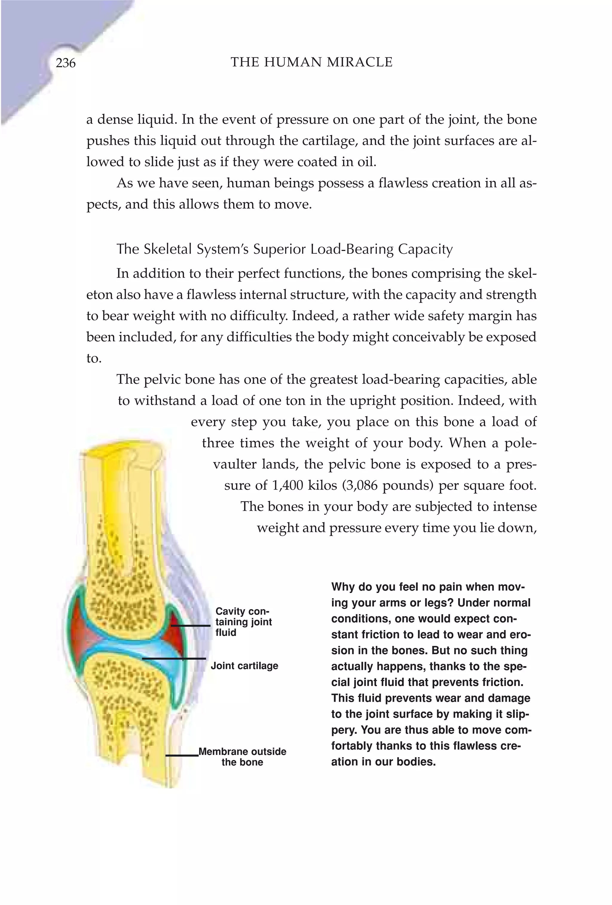 236                            THE HUMAN MIRACLE



      a dense liquid. In the event of pressure on one part of the joint, the bone
      pushes this liquid out through the cartilage, and the joint surfaces are al-
      lowed to slide just as if they were coated in oil.
            As we have seen, human beings possess a flawless creation in all as-
      pects, and this allows them to move.


            The Skeletal System’s Superior Load-Bearing Capacity
            In addition to their perfect functions, the bones comprising the skel-
      eton also have a flawless internal structure, with the capacity and strength
      to bear weight with no difficulty. Indeed, a rather wide safety margin has
      been included, for any difficulties the body might conceivably be exposed
      to.
            The pelvic bone has one of the greatest load-bearing capacities, able
            to withstand a load of one ton in the upright position. Indeed, with
                        every step you take, you place on this bone a load of
                          three times the weight of your body. When a pole-
                            vaulter lands, the pelvic bone is exposed to a pres-
                              sure of 1,400 kilos (3,086 pounds) per square foot.
                                 The bones in your body are subjected to intense
                                     weight and pressure every time you lie down,



                                                Why do you feel no pain when mov-
                                                ing your arms or legs? Under normal
                            Cavity con-
                            taining joint       conditions, one would expect con-
                            fluid               stant friction to lead to wear and ero-
                                                sion in the bones. But no such thing
                           Joint cartilage      actually happens, thanks to the spe-
                                                cial joint fluid that prevents friction.
                                                This fluid prevents wear and damage
                                                to the joint surface by making it slip-
                                                pery. You are thus able to move com-
                         Membrane outside
                                                fortably thanks to this flawless cre-
                            the bone            ation in our bodies.
 