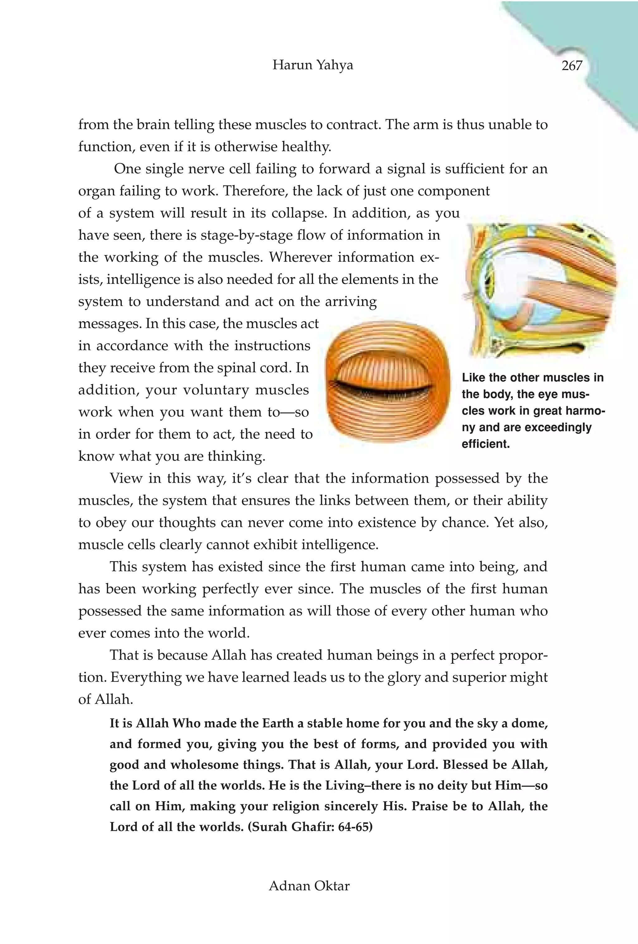 Harun Yahya                                      267



from the brain telling these muscles to contract. The arm is thus unable to
function, even if it is otherwise healthy.
      One single nerve cell failing to forward a signal is sufficient for an
organ failing to work. Therefore, the lack of just one component
of a system will result in its collapse. In addition, as you
have seen, there is stage-by-stage flow of information in
the working of the muscles. Wherever information ex-
ists, intelligence is also needed for all the elements in the
system to understand and act on the arriving
messages. In this case, the muscles act
in accordance with the instructions
they receive from the spinal cord. In
                                                                Like the other muscles in
addition, your voluntary muscles                                the body, the eye mus-
work when you want them to—so                                   cles work in great harmo-
                                                                ny and are exceedingly
in order for them to act, the need to
                                                                efficient.
know what you are thinking.
     View in this way, it’s clear that the information possessed by the
muscles, the system that ensures the links between them, or their ability
to obey our thoughts can never come into existence by chance. Yet also,
muscle cells clearly cannot exhibit intelligence.
     This system has existed since the first human came into being, and
has been working perfectly ever since. The muscles of the first human
possessed the same information as will those of every other human who
ever comes into the world.
     That is because Allah has created human beings in a perfect propor-
tion. Everything we have learned leads us to the glory and superior might
of Allah.
     It is Allah Who made the Earth a stable home for you and the sky a dome,
     and formed you, giving you the best of forms, and provided you with
     good and wholesome things. That is Allah, your Lord. Blessed be Allah,
     the Lord of all the worlds. He is the Living–there is no deity but Him—so
     call on Him, making your religion sincerely His. Praise be to Allah, the
     Lord of all the worlds. (Surah Ghafir: 64-65)



                                Adnan Oktar
 