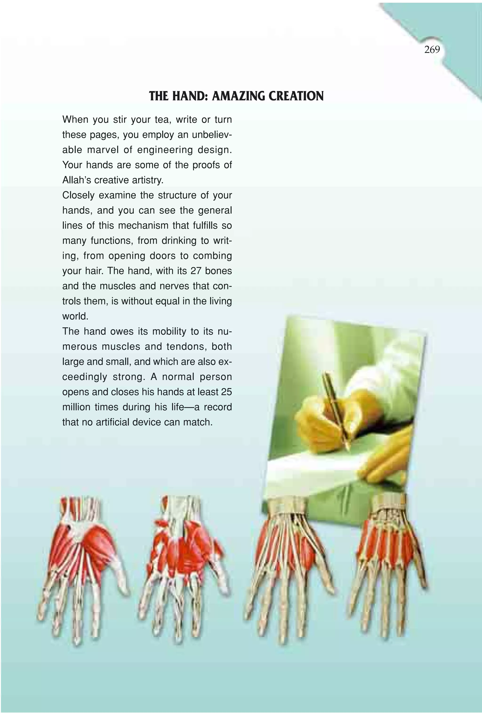 269



                      THE HAND: AMAZING CREATION
When you stir your tea, write or turn
these pages, you employ an unbeliev-
able marvel of engineering design.
Your hands are some of the proofs of
Allah’s creative artistry.
Closely examine the structure of your
hands, and you can see the general
lines of this mechanism that fulfills so
many functions, from drinking to writ-
ing, from opening doors to combing
your hair. The hand, with its 27 bones
and the muscles and nerves that con-
trols them, is without equal in the living
world.
The hand owes its mobility to its nu-
merous muscles and tendons, both
large and small, and which are also ex-
ceedingly strong. A normal person
opens and closes his hands at least 25
million times during his life—a record
that no artificial device can match.
 