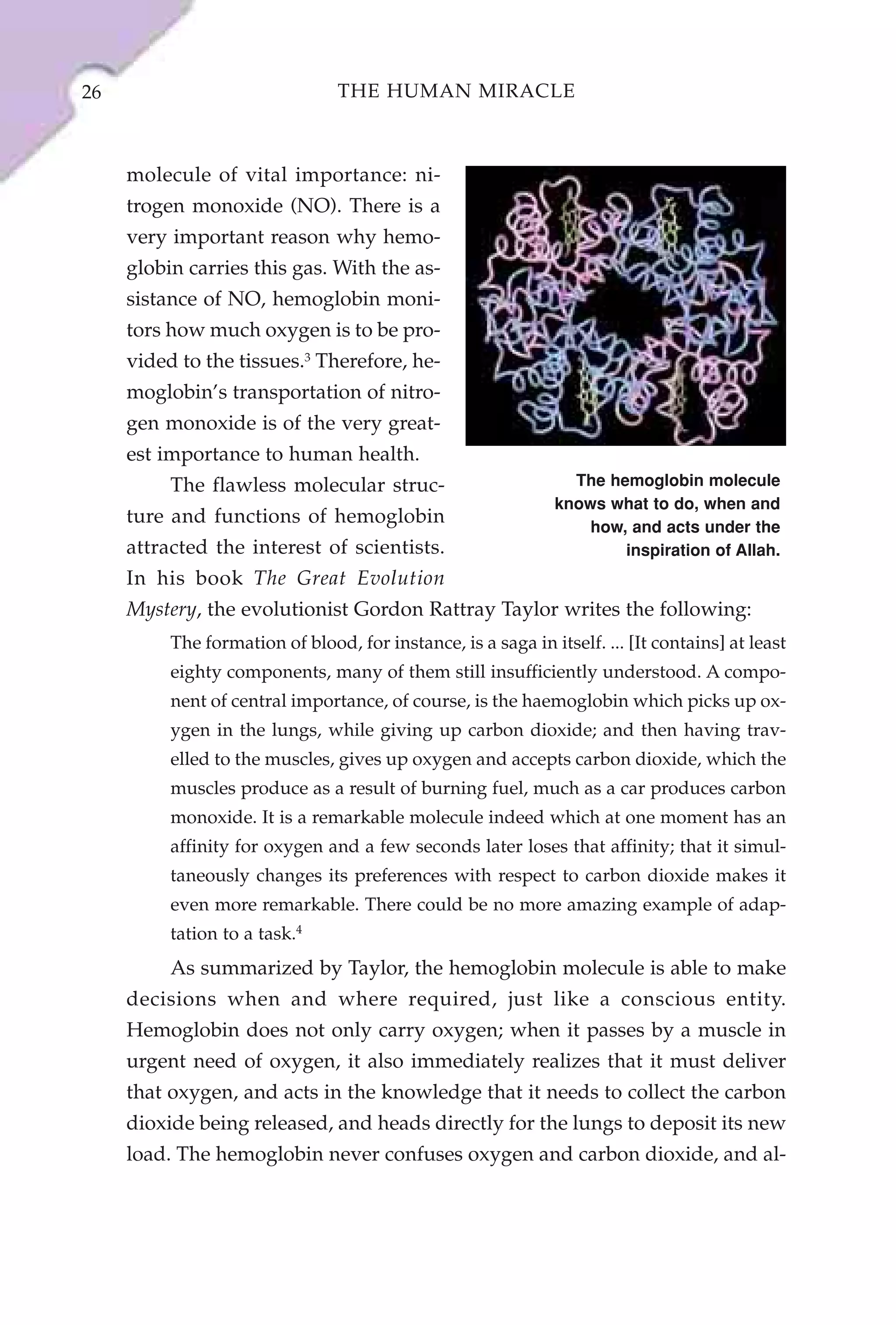 26                               THE HUMAN MIRACLE



     molecule of vital importance: ni-
     trogen monoxide (NO). There is a
     very important reason why hemo-
     globin carries this gas. With the as-
     sistance of NO, hemoglobin moni-
     tors how much oxygen is to be pro-
     vided to the tissues.3 Therefore, he-
     moglobin’s transportation of nitro-
     gen monoxide is of the very great-
     est importance to human health.
          The flawless molecular struc-                          The hemoglobin molecule
                                                               knows what to do, when and
     ture and functions of hemoglobin                              how, and acts under the
     attracted the interest of scientists.                             inspiration of Allah.
     In his book The Great Evolution
     Mystery, the evolutionist Gordon Rattray Taylor writes the following:
          The formation of blood, for instance, is a saga in itself. ... [It contains] at least
          eighty components, many of them still insufficiently understood. A compo-
          nent of central importance, of course, is the haemoglobin which picks up ox-
          ygen in the lungs, while giving up carbon dioxide; and then having trav-
          elled to the muscles, gives up oxygen and accepts carbon dioxide, which the
          muscles produce as a result of burning fuel, much as a car produces carbon
          monoxide. It is a remarkable molecule indeed which at one moment has an
          affinity for oxygen and a few seconds later loses that affinity; that it simul-
          taneously changes its preferences with respect to carbon dioxide makes it
          even more remarkable. There could be no more amazing example of adap-
          tation to a task.4
          As summarized by Taylor, the hemoglobin molecule is able to make
     decisions when and where required, just like a conscious entity.
     Hemoglobin does not only carry oxygen; when it passes by a muscle in
     urgent need of oxygen, it also immediately realizes that it must deliver
     that oxygen, and acts in the knowledge that it needs to collect the carbon
     dioxide being released, and heads directly for the lungs to deposit its new
     load. The hemoglobin never confuses oxygen and carbon dioxide, and al-
 
