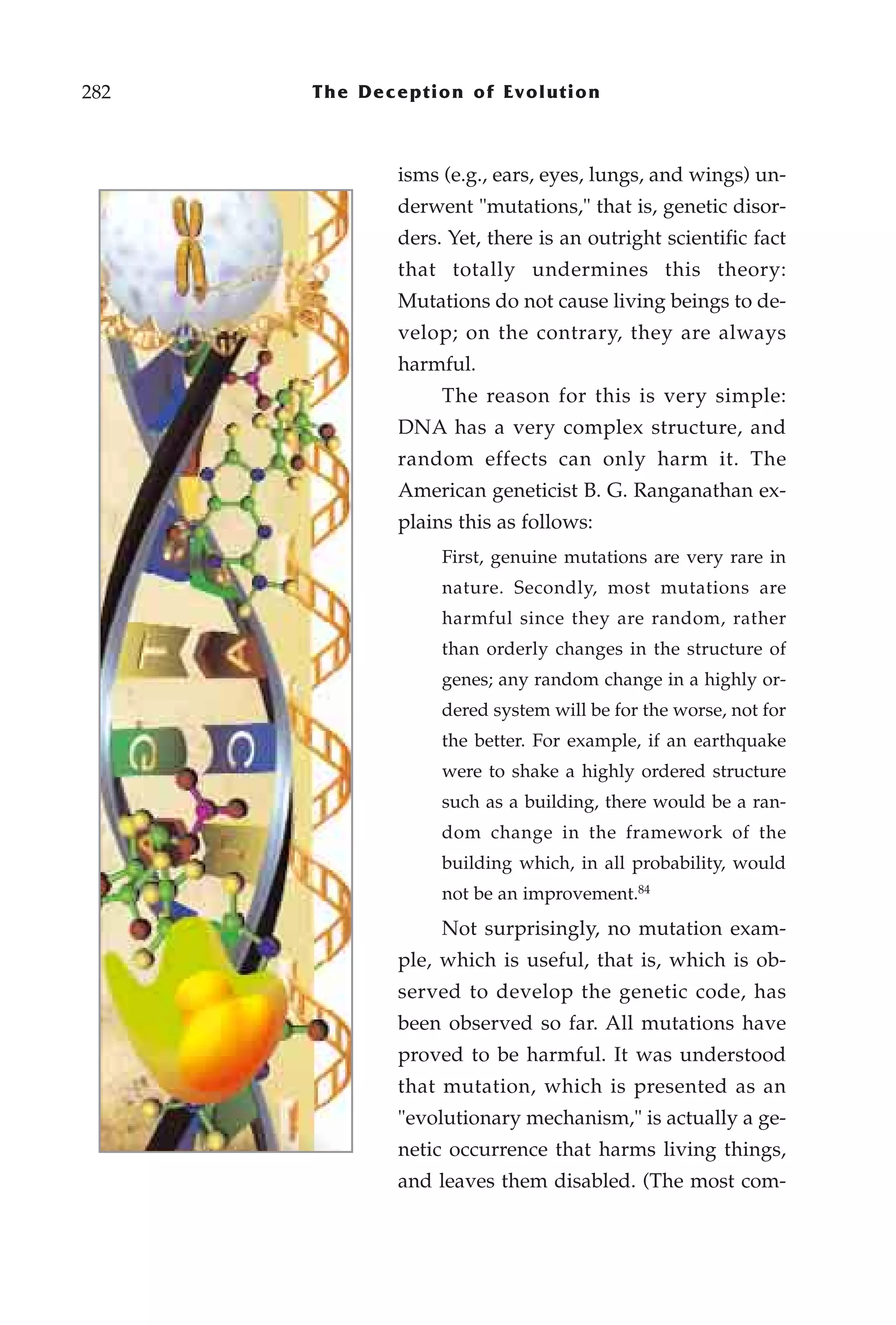 282   The Deception of Evolution



             isms (e.g., ears, eyes, lungs, and wings) un-
             derwent "mutations," that is, genetic disor-
             ders. Yet, there is an outright scientific fact
             that totally undermines this theory:
             Mutations do not cause living beings to de-
             velop; on the contrary, they are always
             harmful.
                  The reason for this is very simple:
             DNA has a very complex structure, and
             random effects can only harm it. The
             American geneticist B. G. Ranganathan ex-
             plains this as follows:
                  First, genuine mutations are very rare in
                  nature. Secondly, most mutations are
                  harmful since they are random, rather
                  than orderly changes in the structure of
                  genes; any random change in a highly or-
                  dered system will be for the worse, not for
                  the better. For example, if an earthquake
                  were to shake a highly ordered structure
                  such as a building, there would be a ran-
                  dom change in the framework of the
                  building which, in all probability, would
                  not be an improvement.84
                  Not surprisingly, no mutation exam-
             ple, which is useful, that is, which is ob-
             served to develop the genetic code, has
             been observed so far. All mutations have
             proved to be harmful. It was understood
             that mutation, which is presented as an
             "evolutionary mechanism," is actually a ge-
             netic occurrence that harms living things,
             and leaves them disabled. (The most com-
 
