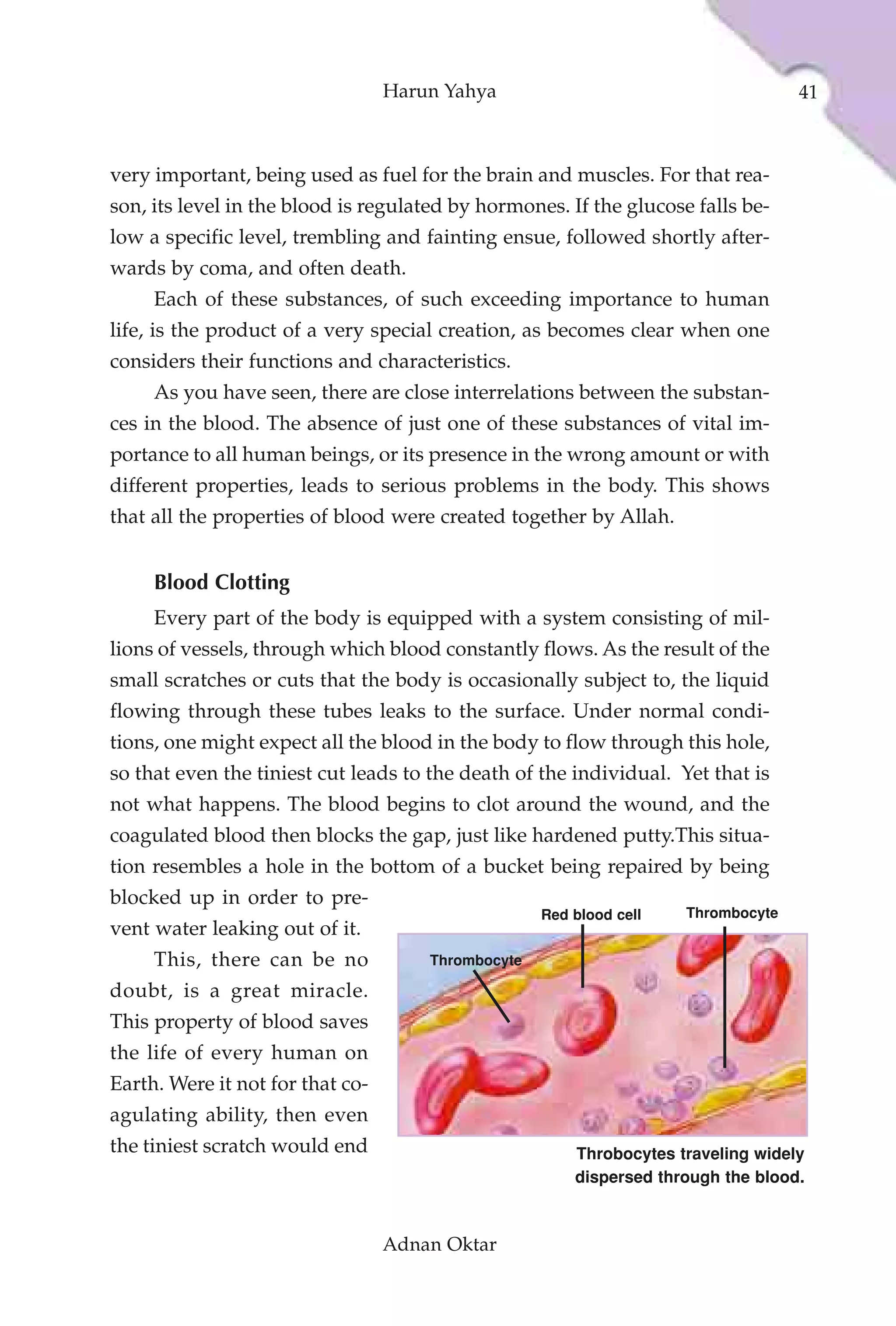 Harun Yahya                                      41



very important, being used as fuel for the brain and muscles. For that rea-
son, its level in the blood is regulated by hormones. If the glucose falls be-
low a specific level, trembling and fainting ensue, followed shortly after-
wards by coma, and often death.
     Each of these substances, of such exceeding importance to human
life, is the product of a very special creation, as becomes clear when one
considers their functions and characteristics.
     As you have seen, there are close interrelations between the substan-
ces in the blood. The absence of just one of these substances of vital im-
portance to all human beings, or its presence in the wrong amount or with
different properties, leads to serious problems in the body. This shows
that all the properties of blood were created together by Allah.


     Blood Clotting
     Every part of the body is equipped with a system consisting of mil-
lions of vessels, through which blood constantly flows. As the result of the
small scratches or cuts that the body is occasionally subject to, the liquid
flowing through these tubes leaks to the surface. Under normal condi-
tions, one might expect all the blood in the body to flow through this hole,
so that even the tiniest cut leads to the death of the individual. Yet that is
not what happens. The blood begins to clot around the wound, and the
coagulated blood then blocks the gap, just like hardened putty.This situa-
tion resembles a hole in the bottom of a bucket being repaired by being
blocked up in order to pre-
                                                    Red blood cell   Thrombocyte
vent water leaking out of it.
     This, there can be no            Thrombocyte

doubt, is a great miracle.
This property of blood saves
the life of every human on
Earth. Were it not for that co-
agulating ability, then even
the tiniest scratch would end                           Throbocytes traveling widely
                                                        dispersed through the blood.



                                  Adnan Oktar
 