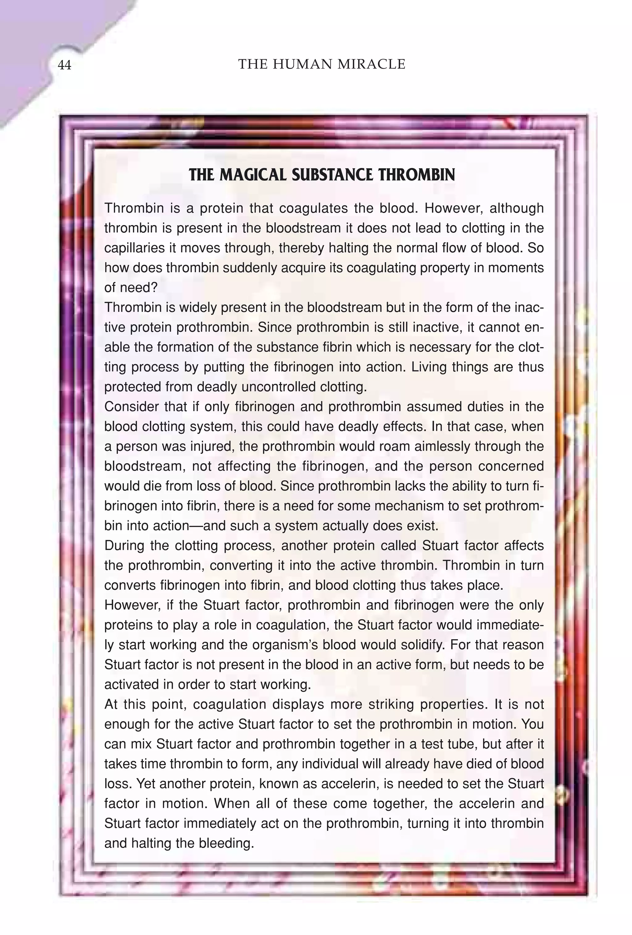 44                          THE HUMAN MIRACLE




                   THE MAGICAL SUBSTANCE THROMBIN
     Thrombin is a protein that coagulates the blood. However, although
     thrombin is present in the bloodstream it does not lead to clotting in the
     capillaries it moves through, thereby halting the normal flow of blood. So
     how does thrombin suddenly acquire its coagulating property in moments
     of need?
     Thrombin is widely present in the bloodstream but in the form of the inac-
     tive protein prothrombin. Since prothrombin is still inactive, it cannot en-
     able the formation of the substance fibrin which is necessary for the clot-
     ting process by putting the fibrinogen into action. Living things are thus
     protected from deadly uncontrolled clotting.
     Consider that if only fibrinogen and prothrombin assumed duties in the
     blood clotting system, this could have deadly effects. In that case, when
     a person was injured, the prothrombin would roam aimlessly through the
     bloodstream, not affecting the fibrinogen, and the person concerned
     would die from loss of blood. Since prothrombin lacks the ability to turn fi-
     brinogen into fibrin, there is a need for some mechanism to set prothrom-
     bin into action—and such a system actually does exist.
     During the clotting process, another protein called Stuart factor affects
     the prothrombin, converting it into the active thrombin. Thrombin in turn
     converts fibrinogen into fibrin, and blood clotting thus takes place.
     However, if the Stuart factor, prothrombin and fibrinogen were the only
     proteins to play a role in coagulation, the Stuart factor would immediate-
     ly start working and the organism’s blood would solidify. For that reason
     Stuart factor is not present in the blood in an active form, but needs to be
     activated in order to start working.
     At this point, coagulation displays more striking properties. It is not
     enough for the active Stuart factor to set the prothrombin in motion. You
     can mix Stuart factor and prothrombin together in a test tube, but after it
     takes time thrombin to form, any individual will already have died of blood
     loss. Yet another protein, known as accelerin, is needed to set the Stuart
     factor in motion. When all of these come together, the accelerin and
     Stuart factor immediately act on the prothrombin, turning it into thrombin
     and halting the bleeding.
 