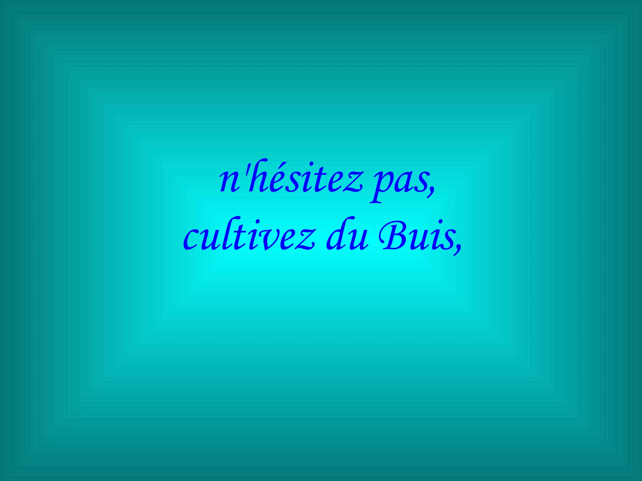 n'hésitez pas, cultivez du Buis,