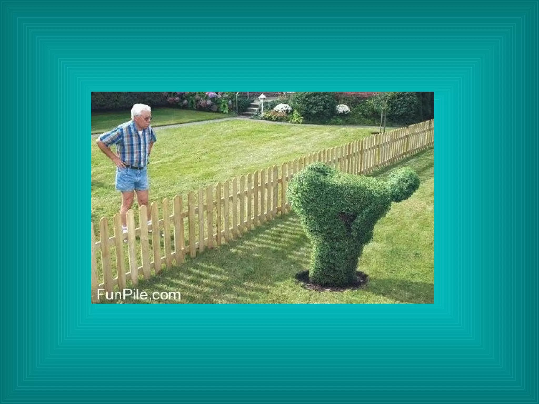 Réalisé pour diaporamas-a-la-con.com