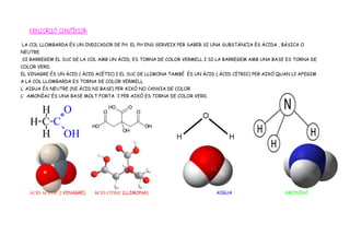EXPLICACIÓ CIENTÍFICA:
LA COL LLOMBARDA ÉS UN INDICADOR DE PH. EL PH ENS SERVEIX PER SABER SI UNA SUBSTÀNCIA ÉS ÀCIDA , BÀSICA O
NEUTRE.
SI BARREGEM EL SUC DE LA COL AMB UN ÀCID, ES TORNA DE COLOR VERMELL I SI LA BARREGEM AMB UNA BASE ES TORNA DE
COLOR VERD.
EL VINAGRE ÉS UN ÀCID ( ÀCID ACÈTIC) I EL SUC DE LLIMONA TAMBÉ ÉS UN ÀCID ( ÀCID CÍTRIC) PER AIXÒ QUAN LI AFEGIM
A LA COL LLOMBARDA ES TORNA DE COLOR VERMELL
L’ AIGUA ÉS NEUTRE (NI ÀCID NI BASE) PER AIXÒ NO CANVIA DE COLOR
L’ AMONÍAC ÉS UNA BASE MOLT FORTA I PER AIXÒ ES TORNA DE COLOR VERD.




   ACID ACÈTIC ( VINAGRE)   ÀCID CÍTRIC (LLIMONA)                         AIGUA                     AMONÍAC
 