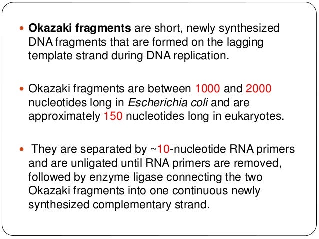 okazaki fragments okazaki fragment