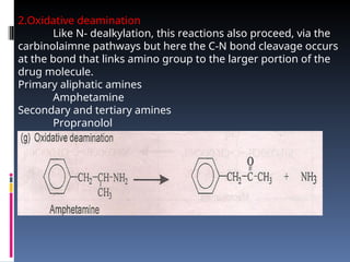 Comprehensive Overview of Drug Biotransformation Processes and Pathways ...