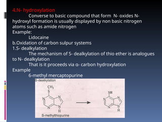 Comprehensive Overview of Drug Biotransformation Processes and Pathways ...