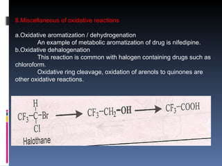 Halogen Drugs Example Comprehensive Overview of Drug Biotransformation Processes and Pathways ...
