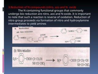 Comprehensive Overview of Drug Biotransformation Processes and Pathways ...