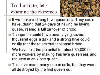 Concepts of Queen Rearing for the beekeepers | PPTX