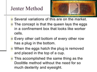 Concepts of Queen Rearing for the beekeepers | PPTX