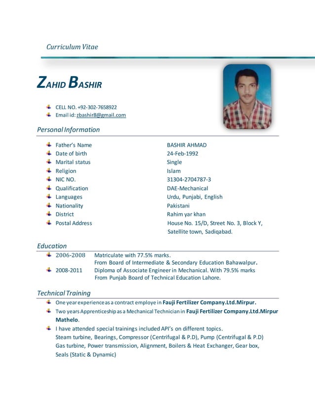 Curriculum Vitae PDF curriculum-vitae-pdf
