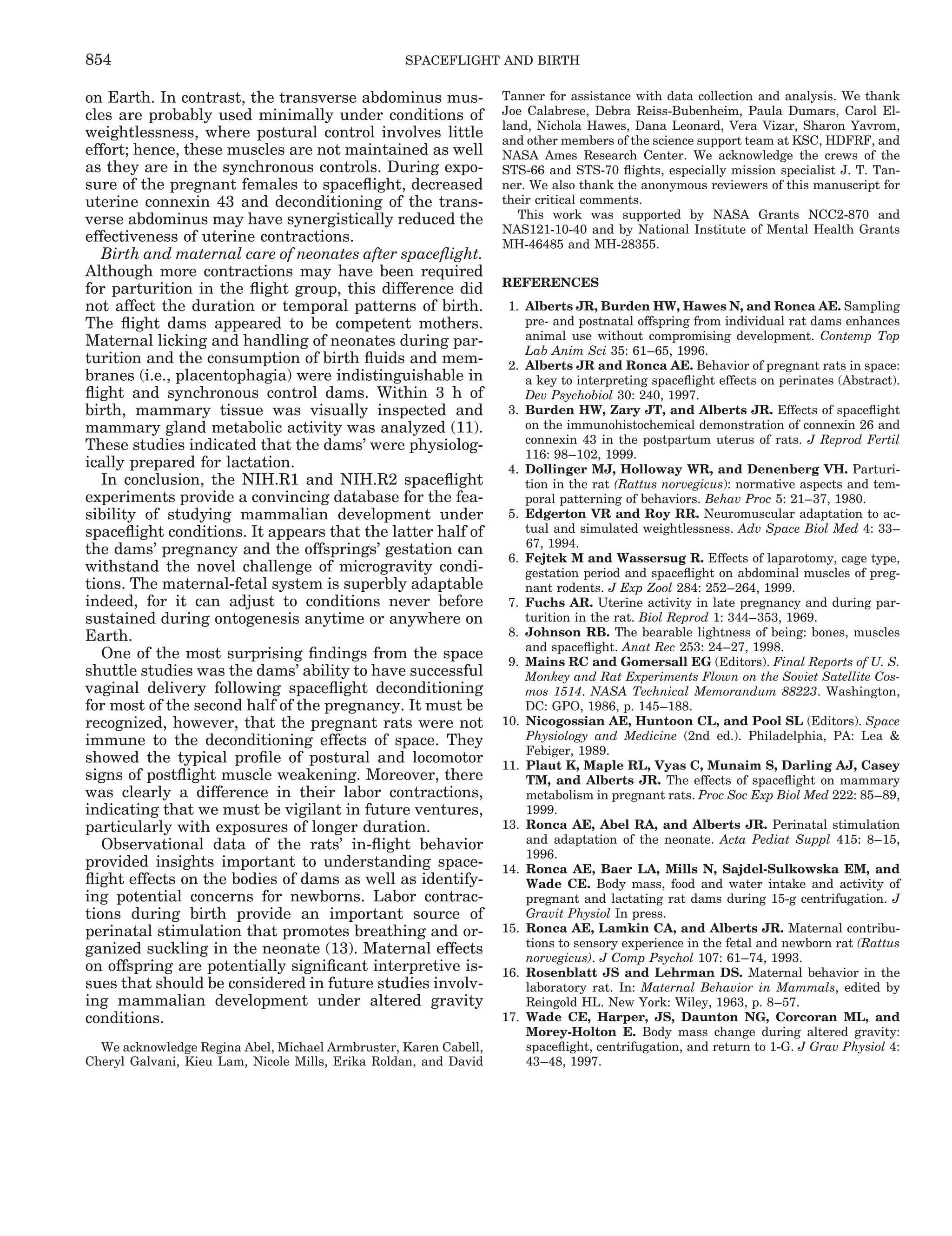 on Earth. In contrast, the transverse abdominus mus-
cles are probably used minimally under conditions of
weightlessness, where postural control involves little
effort; hence, these muscles are not maintained as well
as they are in the synchronous controls. During expo-
sure of the pregnant females to spaceﬂight, decreased
uterine connexin 43 and deconditioning of the trans-
verse abdominus may have synergistically reduced the
effectiveness of uterine contractions.
Birth and maternal care of neonates after spaceﬂight.
Although more contractions may have been required
for parturition in the ﬂight group, this difference did
not affect the duration or temporal patterns of birth.
The ﬂight dams appeared to be competent mothers.
Maternal licking and handling of neonates during par-
turition and the consumption of birth ﬂuids and mem-
branes (i.e., placentophagia) were indistinguishable in
ﬂight and synchronous control dams. Within 3 h of
birth, mammary tissue was visually inspected and
mammary gland metabolic activity was analyzed (11).
These studies indicated that the dams’ were physiolog-
ically prepared for lactation.
In conclusion, the NIH.R1 and NIH.R2 spaceﬂight
experiments provide a convincing database for the fea-
sibility of studying mammalian development under
spaceﬂight conditions. It appears that the latter half of
the dams’ pregnancy and the offsprings’ gestation can
withstand the novel challenge of microgravity condi-
tions. The maternal-fetal system is superbly adaptable
indeed, for it can adjust to conditions never before
sustained during ontogenesis anytime or anywhere on
Earth.
One of the most surprising ﬁndings from the space
shuttle studies was the dams’ ability to have successful
vaginal delivery following spaceﬂight deconditioning
for most of the second half of the pregnancy. It must be
recognized, however, that the pregnant rats were not
immune to the deconditioning effects of space. They
showed the typical proﬁle of postural and locomotor
signs of postﬂight muscle weakening. Moreover, there
was clearly a difference in their labor contractions,
indicating that we must be vigilant in future ventures,
particularly with exposures of longer duration.
Observational data of the rats’ in-ﬂight behavior
provided insights important to understanding space-
ﬂight effects on the bodies of dams as well as identify-
ing potential concerns for newborns. Labor contrac-
tions during birth provide an important source of
perinatal stimulation that promotes breathing and or-
ganized suckling in the neonate (13). Maternal effects
on offspring are potentially signiﬁcant interpretive is-
sues that should be considered in future studies involv-
ing mammalian development under altered gravity
conditions.
We acknowledge Regina Abel, Michael Armbruster, Karen Cabell,
Cheryl Galvani, Kieu Lam, Nicole Mills, Erika Roldan, and David
Tanner for assistance with data collection and analysis. We thank
Joe Calabrese, Debra Reiss-Bubenheim, Paula Dumars, Carol El-
land, Nichola Hawes, Dana Leonard, Vera Vizar, Sharon Yavrom,
and other members of the science support team at KSC, HDFRF, and
NASA Ames Research Center. We acknowledge the crews of the
STS-66 and STS-70 ﬂights, especially mission specialist J. T. Tan-
ner. We also thank the anonymous reviewers of this manuscript for
their critical comments.
This work was supported by NASA Grants NCC2-870 and
NAS121-10-40 and by National Institute of Mental Health Grants
MH-46485 and MH-28355.
REFERENCES
1. Alberts JR, Burden HW, Hawes N, and Ronca AE. Sampling
pre- and postnatal offspring from individual rat dams enhances
animal use without compromising development. Contemp Top
Lab Anim Sci 35: 61–65, 1996.
2. Alberts JR and Ronca AE. Behavior of pregnant rats in space:
a key to interpreting spaceﬂight effects on perinates (Abstract).
Dev Psychobiol 30: 240, 1997.
3. Burden HW, Zary JT, and Alberts JR. Effects of spaceﬂight
on the immunohistochemical demonstration of connexin 26 and
connexin 43 in the postpartum uterus of rats. J Reprod Fertil
116: 98–102, 1999.
4. Dollinger MJ, Holloway WR, and Denenberg VH. Parturi-
tion in the rat (Rattus norvegicus): normative aspects and tem-
poral patterning of behaviors. Behav Proc 5: 21–37, 1980.
5. Edgerton VR and Roy RR. Neuromuscular adaptation to ac-
tual and simulated weightlessness. Adv Space Biol Med 4: 33–
67, 1994.
6. Fejtek M and Wassersug R. Effects of laparotomy, cage type,
gestation period and spaceﬂight on abdominal muscles of preg-
nant rodents. J Exp Zool 284: 252–264, 1999.
7. Fuchs AR. Uterine activity in late pregnancy and during par-
turition in the rat. Biol Reprod 1: 344–353, 1969.
8. Johnson RB. The bearable lightness of being: bones, muscles
and spaceﬂight. Anat Rec 253: 24–27, 1998.
9. Mains RC and Gomersall EG (Editors). Final Reports of U. S.
Monkey and Rat Experiments Flown on the Soviet Satellite Cos-
mos 1514. NASA Technical Memorandum 88223. Washington,
DC: GPO, 1986, p. 145–188.
10. Nicogossian AE, Huntoon CL, and Pool SL (Editors). Space
Physiology and Medicine (2nd ed.). Philadelphia, PA: Lea &
Febiger, 1989.
11. Plaut K, Maple RL, Vyas C, Munaim S, Darling AJ, Casey
TM, and Alberts JR. The effects of spaceﬂight on mammary
metabolism in pregnant rats. Proc Soc Exp Biol Med 222: 85–89,
1999.
13. Ronca AE, Abel RA, and Alberts JR. Perinatal stimulation
and adaptation of the neonate. Acta Pediat Suppl 415: 8–15,
1996.
14. Ronca AE, Baer LA, Mills N, Sajdel-Sulkowska EM, and
Wade CE. Body mass, food and water intake and activity of
pregnant and lactating rat dams during 15-g centrifugation. J
Gravit Physiol In press.
15. Ronca AE, Lamkin CA, and Alberts JR. Maternal contribu-
tions to sensory experience in the fetal and newborn rat (Rattus
norvegicus). J Comp Psychol 107: 61–74, 1993.
16. Rosenblatt JS and Lehrman DS. Maternal behavior in the
laboratory rat. In: Maternal Behavior in Mammals, edited by
Reingold HL. New York: Wiley, 1963, p. 8–57.
17. Wade CE, Harper, JS, Daunton NG, Corcoran ML, and
Morey-Holton E. Body mass change during altered gravity:
spaceﬂight, centrifugation, and return to 1-G. J Grav Physiol 4:
43–48, 1997.
854 SPACEFLIGHT AND BIRTH
 
