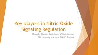 Key players in Nitric Oxide
Signaling Regulation
Alexander Ollerton, Sarah Young, William Montfort
The University of Arizona, BLAISER Program
 