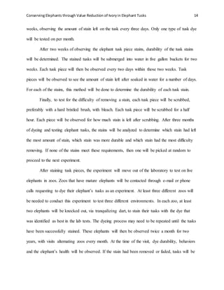 Conserving Elephants through Value Reduction of Ivoryin Elephant Tusks 14
weeks, observing the amount of stain left on the tusk every three days. Only one type of tusk dye
will be tested on per month.
After two weeks of observing the elephant tusk piece stains, durability of the tusk stains
will be determined. The stained tusks will be submerged into water in five gallon buckets for two
weeks. Each tusk piece will then be observed every two days within those two weeks. Tusk
pieces will be observed to see the amount of stain left after soaked in water for a number of days.
For each of the stains, this method will be done to determine the durability of each tusk stain.
Finally, to test for the difficulty of removing a stain, each tusk piece will be scrubbed,
preferably with a hard bristled brush, with bleach. Each tusk piece will be scrubbed for a half
hour. Each piece will be observed for how much stain is left after scrubbing. After three months
of dyeing and testing elephant tusks, the stains will be analyzed to determine which stain had left
the most amount of stain, which stain was more durable and which stain had the most difficulty
removing. If none of the stains meet these requirements, then one will be picked at random to
proceed to the next experiment.
After staining tusk pieces, the experiment will move out of the laboratory to test on live
elephants in zoos. Zoos that have mature elephants will be contacted through e-mail or phone
calls requesting to dye their elephant’s tusks as an experiment. At least three different zoos will
be needed to conduct this experiment to test three different environments. In each zoo, at least
two elephants will be knocked out, via tranquilizing dart, to stain their tusks with the dye that
was identified as best in the lab tests. The dyeing process may need to be repeated until the tusks
have been successfully stained. These elephants will then be observed twice a month for two
years, with visits alternating zoos every month. At the time of the visit, dye durability, behaviors
and the elephant’s health will be observed. If the stain had been removed or faded, tusks will be
 