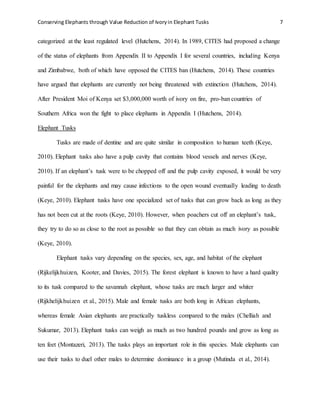 Conserving Elephants through Value Reduction of Ivoryin Elephant Tusks 7
categorized at the least regulated level (Hutchens, 2014). In 1989, CITES had proposed a change
of the status of elephants from Appendix II to Appendix I for several countries, including Kenya
and Zimbabwe, both of which have opposed the CITES ban (Hutchens, 2014). These countries
have argued that elephants are currently not being threatened with extinction (Hutchens, 2014).
After President Moi of Kenya set $3,000,000 worth of ivory on fire, pro-ban countries of
Southern Africa won the fight to place elephants in Appendix I (Hutchens, 2014).
Elephant Tusks
Tusks are made of dentine and are quite similar in composition to human teeth (Keye,
2010). Elephant tusks also have a pulp cavity that contains blood vessels and nerves (Keye,
2010). If an elephant’s tusk were to be chopped off and the pulp cavity exposed, it would be very
painful for the elephants and may cause infections to the open wound eventually leading to death
(Keye, 2010). Elephant tusks have one specialized set of tusks that can grow back as long as they
has not been cut at the roots (Keye, 2010). However, when poachers cut off an elephant’s tusk,
they try to do so as close to the root as possible so that they can obtain as much ivory as possible
(Keye, 2010).
Elephant tusks vary depending on the species, sex, age, and habitat of the elephant
(Rijkelijkhuizen, Kooter, and Davies, 2015). The forest elephant is known to have a hard quality
to its tusk compared to the savannah elephant, whose tusks are much larger and whiter
(Rijkhelijkhuizen et al., 2015). Male and female tusks are both long in African elephants,
whereas female Asian elephants are practically tuskless compared to the males (Chelliah and
Sukumar, 2013). Elephant tusks can weigh as much as two hundred pounds and grow as long as
ten feet (Montazeri, 2013). The tusks plays an important role in this species. Male elephants can
use their tusks to duel other males to determine dominance in a group (Mutinda et al., 2014).
 
