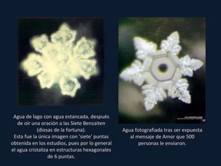 Agua de lago con agua estancada, después de oír una oración a las Siete Benzaiten (diosas de la fortuna). Esta fue la única imagen con 'siete' puntas obtenida en los estudios, pues por lo general el agua cristaliza en estructuras hexagonales de 6 puntas. Agua fotografiada tras ser expuesta al mensaje de Amor que 500 personas le enviaron. 