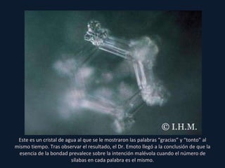 Este es un cristal de agua al que se le mostraron las palabras “gracias” y “tonto” al mismo tiempo. Tras observar el resultado, el Dr. Emoto llegó a la conclusión de que la esencia de la bondad prevalece sobre la intención malévola cuando el número de sílabas en cada palabra es el mismo. 