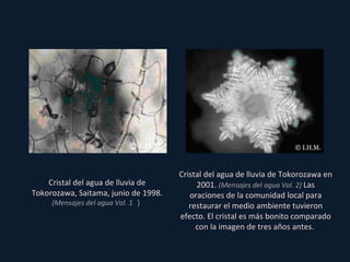 Cristal del agua de lluvia de Tokorozawa, Saitama, junio de 1998.  (Mensajes del agua Vol. 1 ） Cristal del agua de lluvia de Tokorozawa en 2001.  (Mensajes del agua Vol. 2)  Las oraciones de la comunidad local para restaurar el medio ambiente tuvieron efecto. El cristal es más bonito comparado con la imagen de tres años antes.  