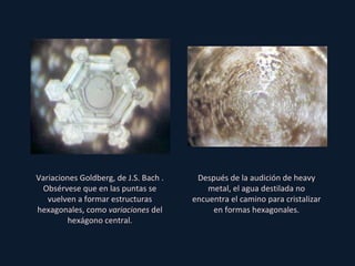 Variaciones Goldberg, de J.S. Bach . Obsérvese que en las puntas se vuelven a formar estructuras hexagonales, como  variaciones  del hexágono central. Después de la audición de heavy metal, el agua destilada no encuentra el camino para cristalizar en formas hexagonales. 