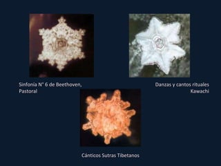 Sinfonía N° 6 de Beethoven, Pastoral Cánticos Sutras Tibetanos Danzas y cantos rituales Kawachi 