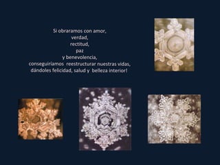 Si obraramos con amor, verdad, rectitud, paz y benevolencia, conseguiríamos  reestructurar nuestras vidas, dándoles felicidad, salud y  belleza interior!  