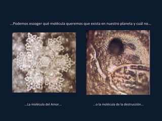 ...Podemos escoger qué molécula queremos que exista en nuestro planeta y cuál no...  ...La molécula del Amor... ...o la molécula de la destrucción... 