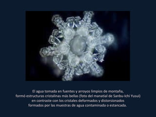 El agua tomada en fuentes y arroyos limpios de montaña, formó estructuras cristalinas más bellas (foto del manatial de Sanbu-Ichi Yusui) en contraste con los cristales deformados y distorsionados formados por las muestras de agua contaminada o estancada.  