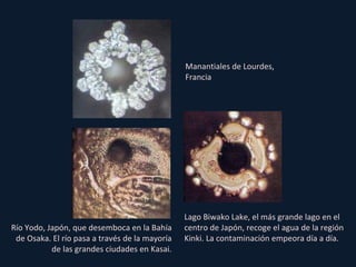 Manantiales de Lourdes, Francia Lago Biwako Lake, el más grande lago en el centro de Japón, recoge el agua de la región Kinki. La contaminación empeora día a día. Río Yodo, Japón, que desemboca en la Bahía de Osaka. El río pasa a través de la mayoría de las grandes ciudades en Kasai. 