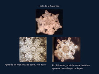 Agua de los manantiales Sanbu-ichi Yusui Río Shimanto, posiblemente la última agua corriente limpia de Japón Hielo de la Antártida 