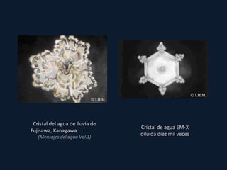 Cristal de agua EM-X diluida diez mil veces Cristal del agua de lluvia de Fujisawa, Kanagawa  (Mensajes del agua Vol.1) 