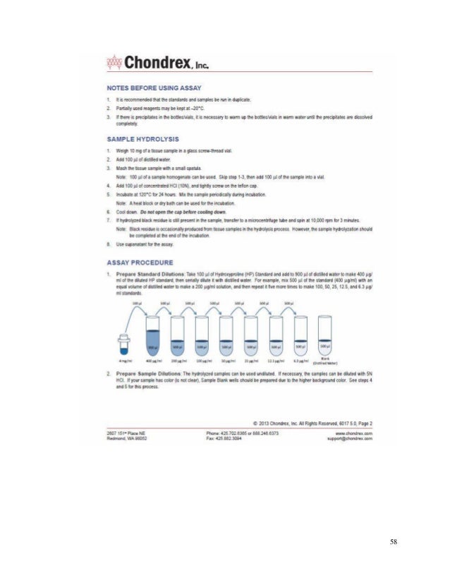 Help on dissertation nanotechnology