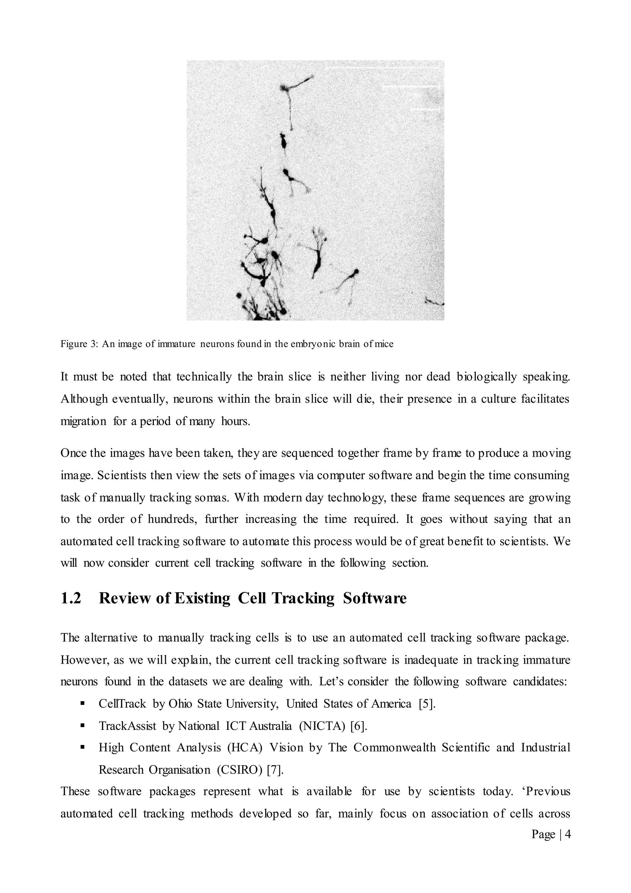 Page | 4
Figure 3: An image of immature neurons found in the embryonic brain of mice
It must be noted that technically the brain slice is neither living nor dead biologically speaking.
Although eventually, neurons within the brain slice will die, their presence in a culture facilitates
migration for a period of many hours.
Once the images have been taken, they are sequenced together frame by frame to produce a moving
image. Scientists then view the sets of images via computer software and begin the time consuming
task of manually tracking somas. With modern day technology, these frame sequences are growing
to the order of hundreds, further increasing the time required. It goes without saying that an
automated cell tracking software to automate this process would be of great benefit to scientists. We
will now consider current cell tracking software in the following section.
1.2 Review of Existing Cell Tracking Software
The alternative to manually tracking cells is to use an automated cell tracking software package.
However, as we will explain, the current cell tracking software is inadequate in tracking immature
neurons found in the datasets we are dealing with. Let’s consider the following software candidates:
 CellTrack by Ohio State University, United States of America [5].
 TrackAssist by National ICT Australia (NICTA) [6].
 High Content Analysis (HCA) Vision by The Commonwealth Scientific and Industrial
Research Organisation (CSIRO) [7].
These software packages represent what is available for use by scientists today. ‘Previous
automated cell tracking methods developed so far, mainly focus on association of cells across
 