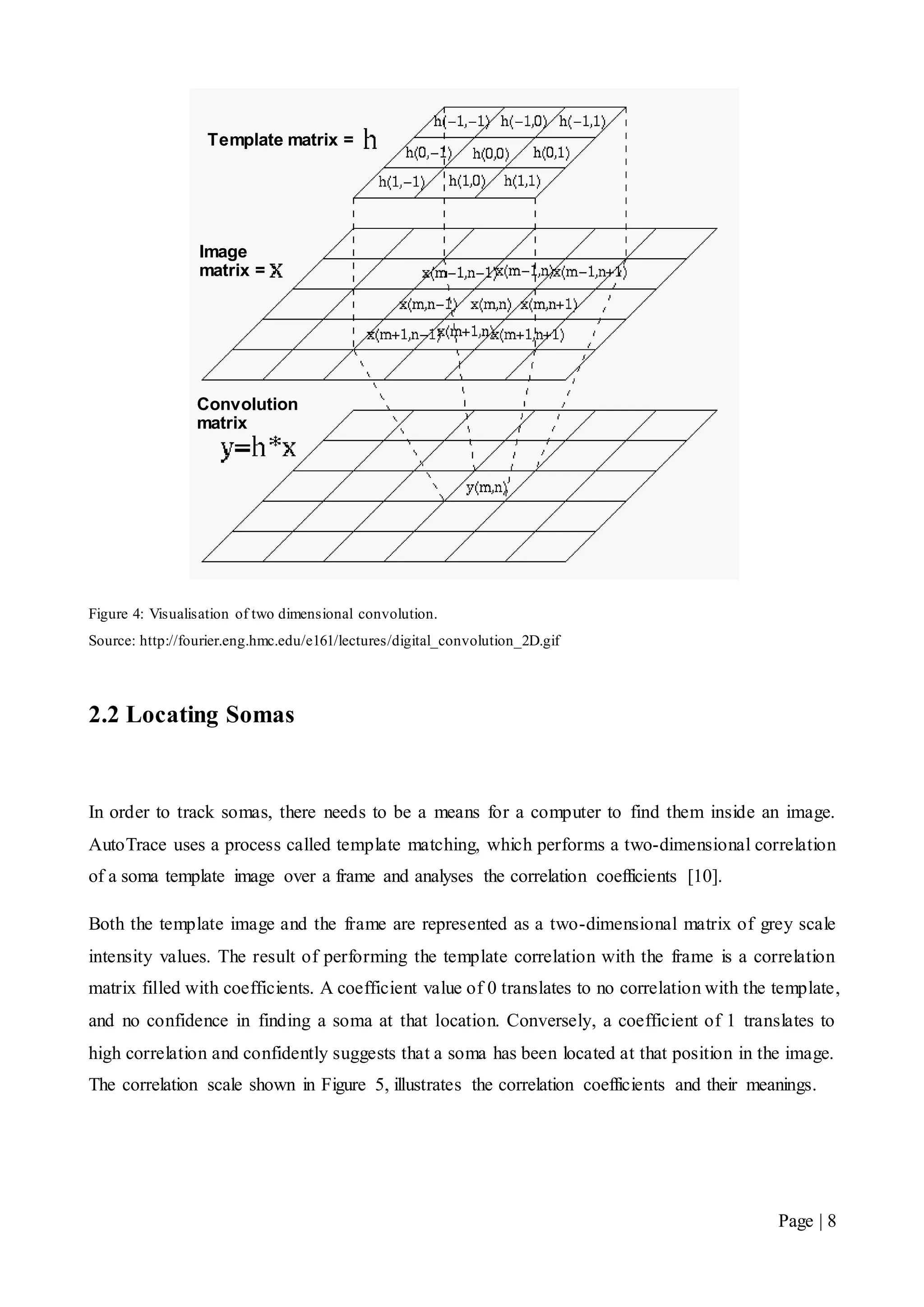 Page | 8
Figure 4: Visualisation of two dimensional convolution.
Source: http://fourier.eng.hmc.edu/e161/lectures/digital_convolution_2D.gif
2.2 Locating Somas
In order to track somas, there needs to be a means for a computer to find them inside an image.
AutoTrace uses a process called template matching, which performs a two-dimensional correlation
of a soma template image over a frame and analyses the correlation coefficients [10].
Both the template image and the frame are represented as a two-dimensional matrix of grey scale
intensity values. The result of performing the template correlation with the frame is a correlation
matrix filled with coefficients. A coefficient value of 0 translates to no correlation with the template,
and no confidence in finding a soma at that location. Conversely, a coefficient of 1 translates to
high correlation and confidently suggests that a soma has been located at that position in the image.
The correlation scale shown in Figure 5, illustrates the correlation coefficients and their meanings.
Template matrix =
Image
matrix =
Convolution
matrix
 
