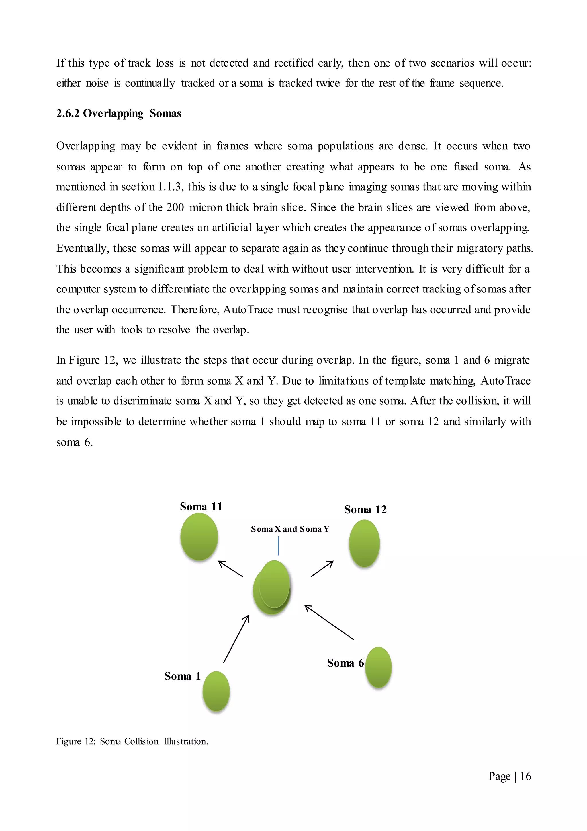 Page | 16
If this type of track loss is not detected and rectified early, then one of two scenarios will occur:
either noise is continually tracked or a soma is tracked twice for the rest of the frame sequence.
2.6.2 Overlapping Somas
Overlapping may be evident in frames where soma populations are dense. It occurs when two
somas appear to form on top of one another creating what appears to be one fused soma. As
mentioned in section 1.1.3, this is due to a single focal plane imaging somas that are moving within
different depths of the 200 micron thick brain slice. Since the brain slices are viewed from above,
the single focal plane creates an artificial layer which creates the appearance of somas overlapping.
Eventually, these somas will appear to separate again as they continue through their migratory paths.
This becomes a significant problem to deal with without user intervention. It is very difficult for a
computer system to differentiate the overlapping somas and maintain correct tracking of somas after
the overlap occurrence. Therefore, AutoTrace must recognise that overlap has occurred and provide
the user with tools to resolve the overlap.
In Figure 12, we illustrate the steps that occur during overlap. In the figure, soma 1 and 6 migrate
and overlap each other to form soma X and Y. Due to limitations of template matching, AutoTrace
is unable to discriminate soma X and Y, so they get detected as one soma. After the collision, it will
be impossible to determine whether soma 1 should map to soma 11 or soma 12 and similarly with
soma 6.
Figure 12: Soma Collision Illustration.
Soma X and Soma Y
Soma 1
Soma 6
Soma 12Soma 11
 
