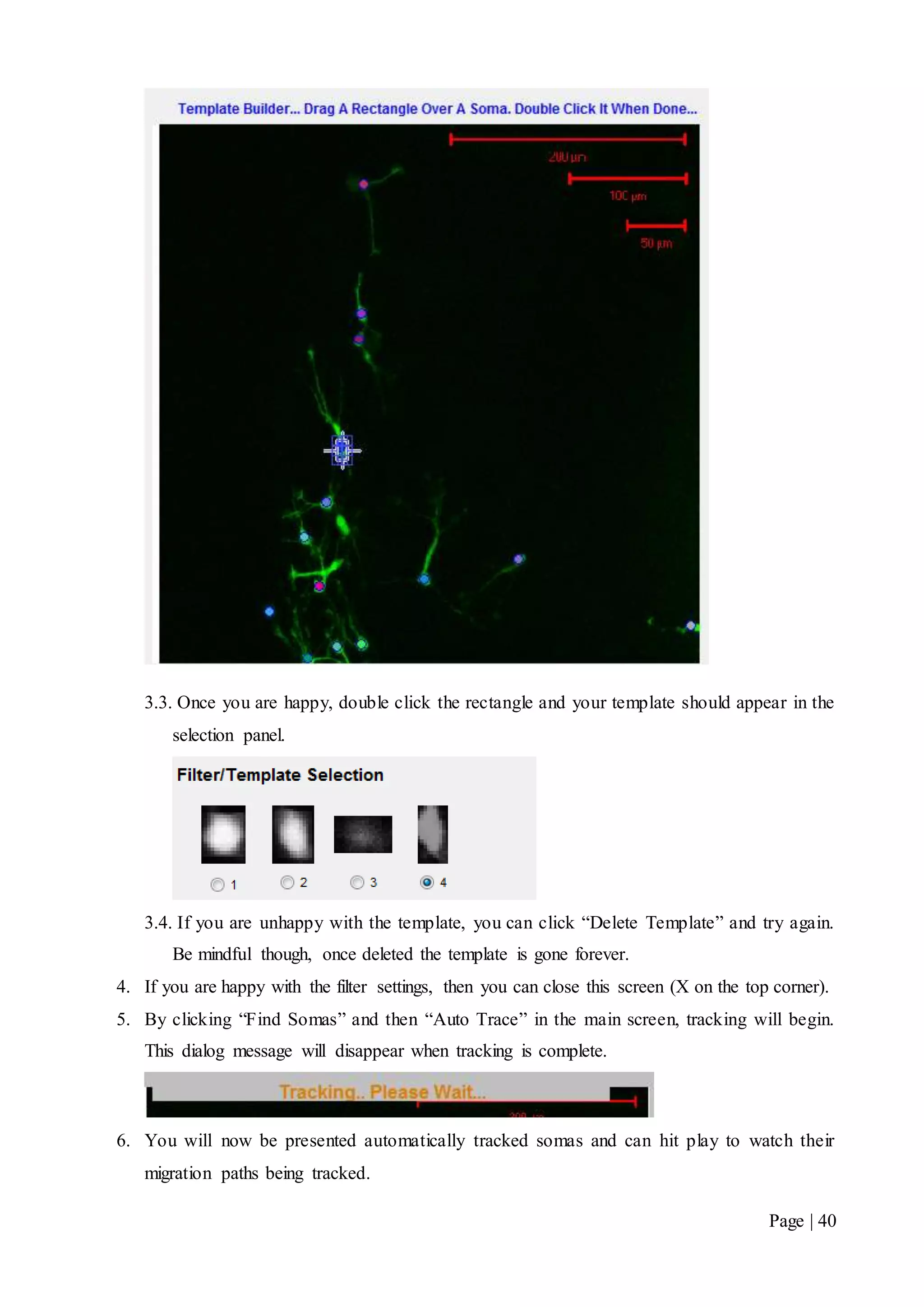 Page | 40
3.3. Once you are happy, double click the rectangle and your template should appear in the
selection panel.
3.4. If you are unhappy with the template, you can click “Delete Template” and try again.
Be mindful though, once deleted the template is gone forever.
4. If you are happy with the filter settings, then you can close this screen (X on the top corner).
5. By clicking “Find Somas” and then “Auto Trace” in the main screen, tracking will begin.
This dialog message will disappear when tracking is complete.
6. You will now be presented automatically tracked somas and can hit play to watch their
migration paths being tracked.
 