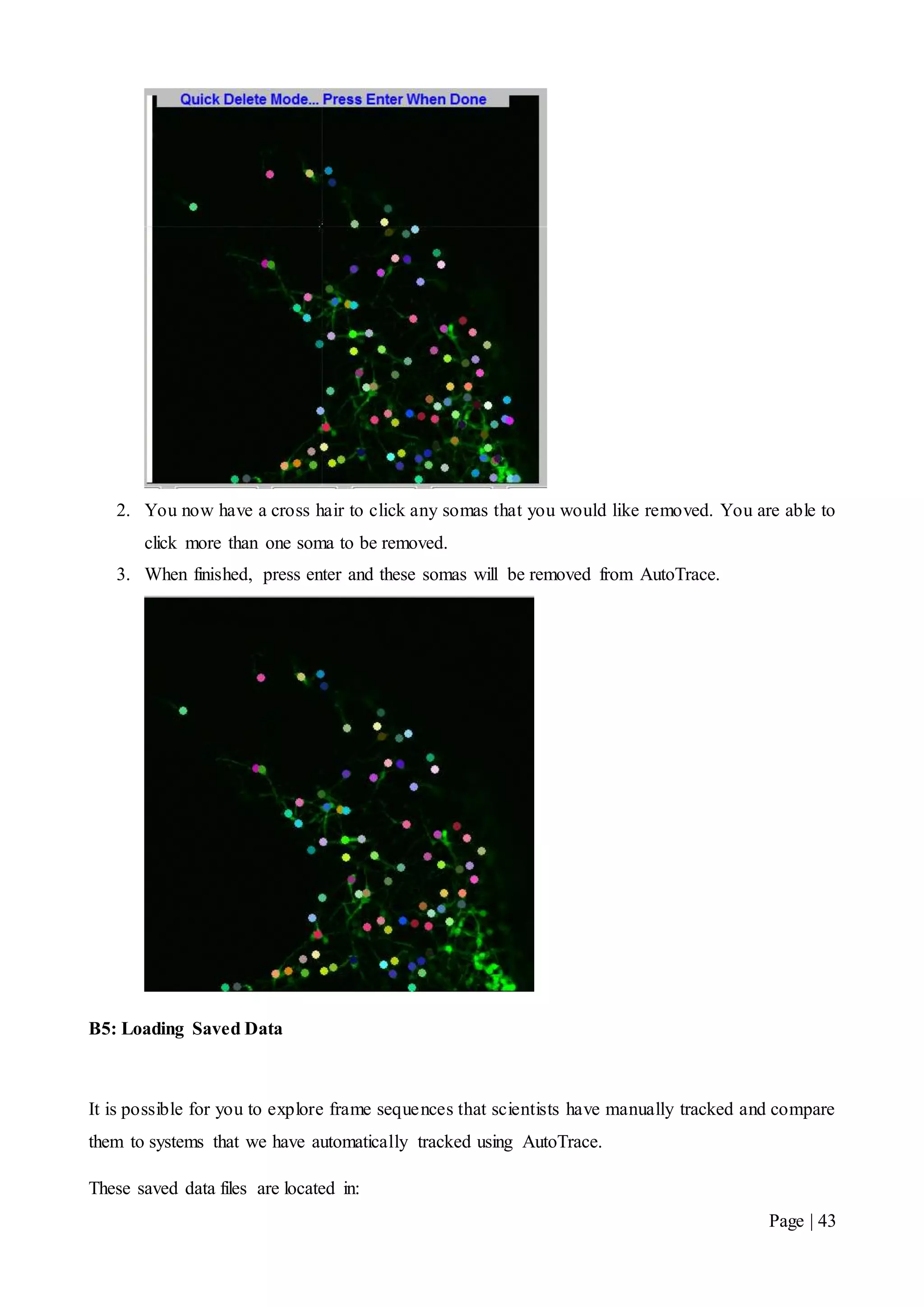 Page | 43
2. You now have a cross hair to click any somas that you would like removed. You are able to
click more than one soma to be removed.
3. When finished, press enter and these somas will be removed from AutoTrace.
B5: Loading Saved Data
It is possible for you to explore frame sequences that scientists have manually tracked and compare
them to systems that we have automatically tracked using AutoTrace.
These saved data files are located in:
 