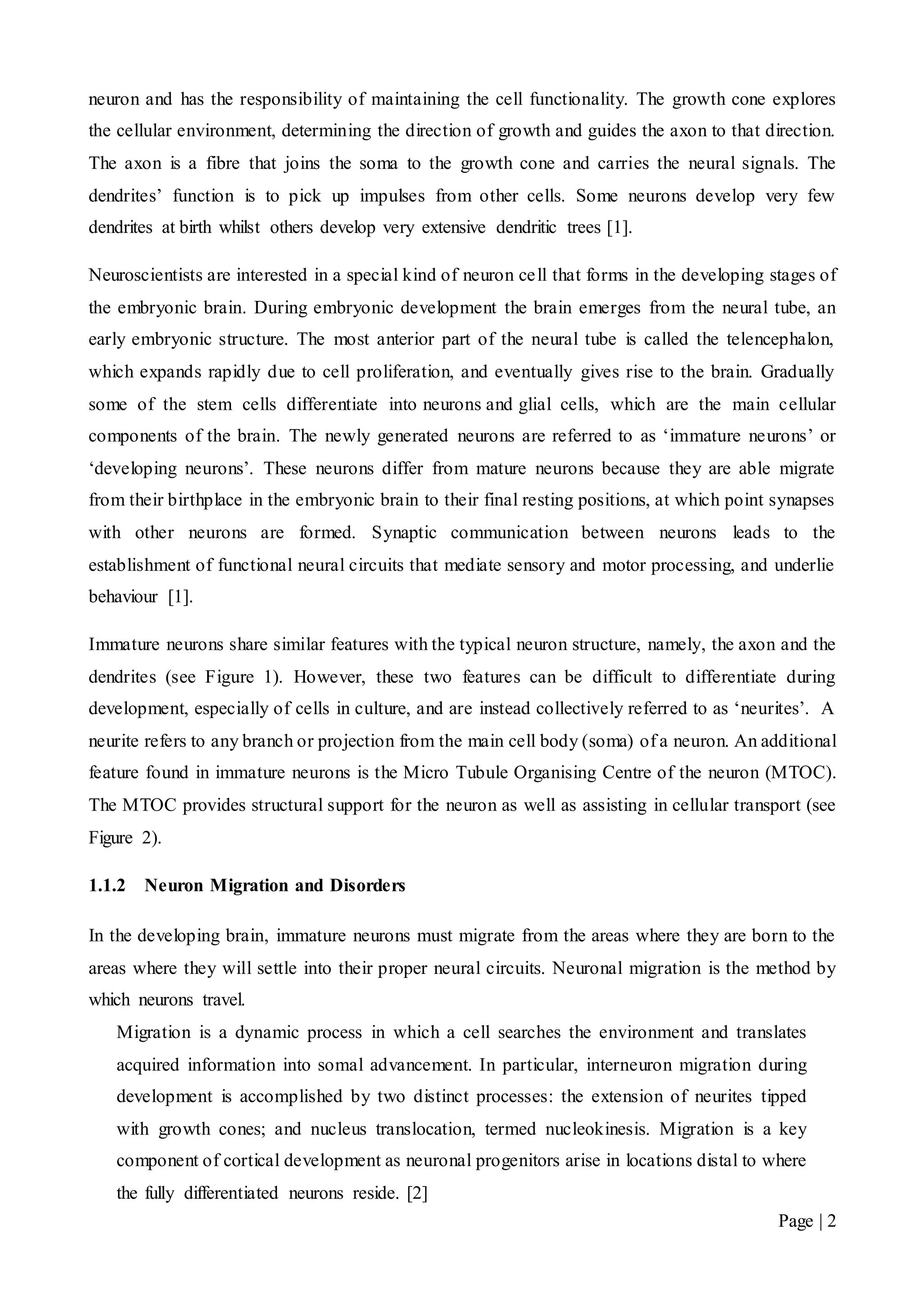 Page | 2
neuron and has the responsibility of maintaining the cell functionality. The growth cone explores
the cellular environment, determining the direction of growth and guides the axon to that direction.
The axon is a fibre that joins the soma to the growth cone and carries the neural signals. The
dendrites’ function is to pick up impulses from other cells. Some neurons develop very few
dendrites at birth whilst others develop very extensive dendritic trees [1].
Neuroscientists are interested in a special kind of neuron cell that forms in the developing stages of
the embryonic brain. During embryonic development the brain emerges from the neural tube, an
early embryonic structure. The most anterior part of the neural tube is called the telencephalon,
which expands rapidly due to cell proliferation, and eventually gives rise to the brain. Gradually
some of the stem cells differentiate into neurons and glial cells, which are the main cellular
components of the brain. The newly generated neurons are referred to as ‘immature neurons’ or
‘developing neurons’. These neurons differ from mature neurons because they are able migrate
from their birthplace in the embryonic brain to their final resting positions, at which point synapses
with other neurons are formed. Synaptic communication between neurons leads to the
establishment of functional neural circuits that mediate sensory and motor processing, and underlie
behaviour [1].
Immature neurons share similar features with the typical neuron structure, namely, the axon and the
dendrites (see Figure 1). However, these two features can be difficult to differentiate during
development, especially of cells in culture, and are instead collectively referred to as ‘neurites’. A
neurite refers to any branch or projection from the main cell body (soma) of a neuron. An additional
feature found in immature neurons is the Micro Tubule Organising Centre of the neuron (MTOC).
The MTOC provides structural support for the neuron as well as assisting in cellular transport (see
Figure 2).
1.1.2 Neuron Migration and Disorders
In the developing brain, immature neurons must migrate from the areas where they are born to the
areas where they will settle into their proper neural circuits. Neuronal migration is the method by
which neurons travel.
Migration is a dynamic process in which a cell searches the environment and translates
acquired information into somal advancement. In particular, interneuron migration during
development is accomplished by two distinct processes: the extension of neurites tipped
with growth cones; and nucleus translocation, termed nucleokinesis. Migration is a key
component of cortical development as neuronal progenitors arise in locations distal to where
the fully differentiated neurons reside. [2]
 