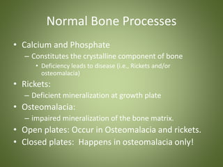 Normal Bone Processes 
• Calcium and Phosphate 
– Constitutes the crystalline component of bone 
• Deficiency leads to disease (i.e., Rickets and/or 
osteomalacia) 
• Rickets: 
– Deficient mineralization at growth plate 
• Osteomalacia: 
– impaired mineralization of the bone matrix. 
• Open plates: Occur in Osteomalacia and rickets. 
• Closed plates: Happens in osteomalacia only! 
 