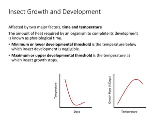 Fast Growth Insect Understanding spider mites and other high tunnel insects, 2015 | PPTX