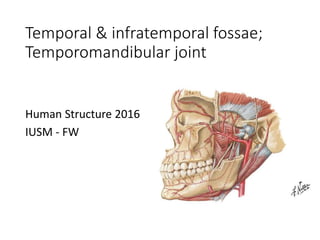Temporal & infratemporal fossae;
Temporomandibular joint
Human Structure 2016
IUSM - FW
 