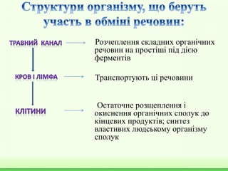 Розчеплення складних органічних
речовин на простіші під дією
ферментів
Транспортують ці речовини
Остаточне розщеплення і
окиснення органічних сполук до
кінцевих продуктів; синтез
властивих людському організму
сполук
 