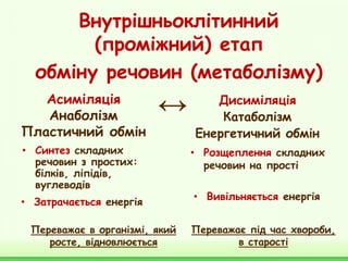 Внутрішньоклітинний
(проміжний) етап
обміну речовин (метаболізму)
Асиміляція
Анаболізм
Пластичний обмін
Дисиміляція
Катаболізм
Енергетичний обмін
• Розщеплення складних
речовин на прості
• Синтез складних
речовин з простих:
білків, ліпідів,
вуглеводів
• Затрачається енергія
• Вивільняється енергія
↔
Переважає під час хвороби,
в старості
Переважає в організмі, який
росте, відновлюється
 