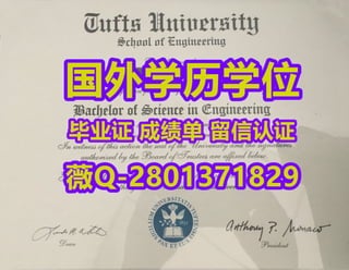 #专业办证《Tufts毕业证学位证原版精仿》