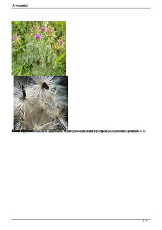 Armurariul




 




Contraindicatii sau care precautie Poate provoca reactii alergice persoanelor sensibile.
femeile gravide
Armurariul se va folosi cualapteaza. la cei care sufera de hipertensiune arteriala, precum si la
 




                                                                                             3/3
 