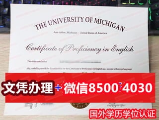 匹兹堡大学学位证成绩单回国买毕业证
