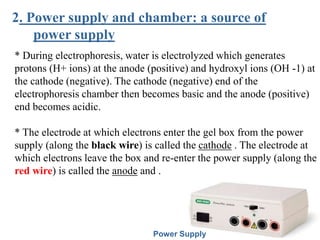 Power Supply
2. Power supply and chamber: a source of
power supply
* During electrophoresis, water is electrolyzed which generates
protons (H+ ions) at the anode (positive) and hydroxyl ions (OH -1) at
the cathode (negative). The cathode (negative) end of the
electrophoresis chamber then becomes basic and the anode (positive)
end becomes acidic.
* The electrode at which electrons enter the gel box from the power
supply (along the black wire) is called the cathode . The electrode at
which electrons leave the box and re-enter the power supply (along the
red wire) is called the anode and .
 